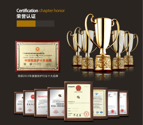 瑞馬燃氣壁掛爐，“代”您開創(chuàng)億萬富豪44